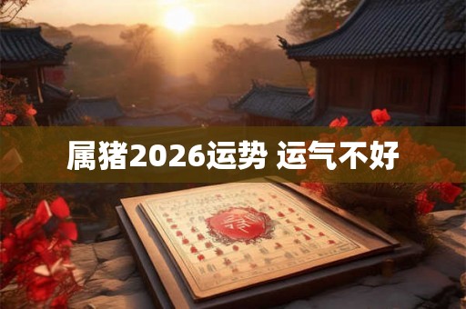 属猪2026运势 运气不好