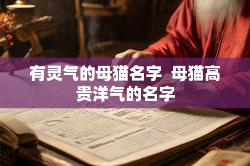 有灵气的母猫名字  母猫高贵洋气的名字