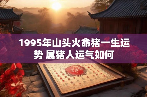 1995年山头火命猪一生运势 属猪人运气如何