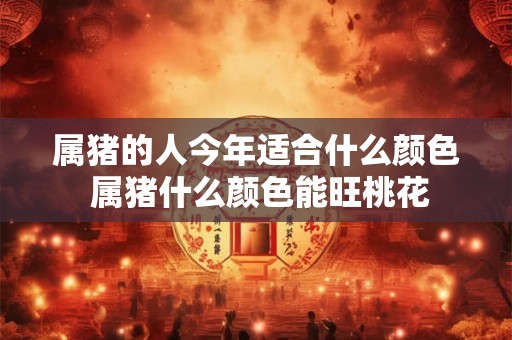 属猪的人今年适合什么颜色 属猪什么颜色能旺桃花
