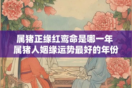 属猪正缘红鸾命是哪一年 属猪人姻缘运势最好的年份