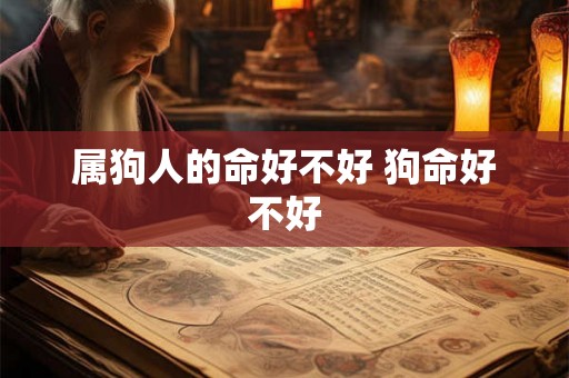 属狗人的命好不好 狗命好不好 属狗人的命好不好 狗命好不好