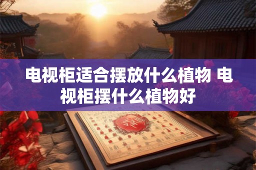 电视柜适合摆放什么植物 电视柜摆什么植物好