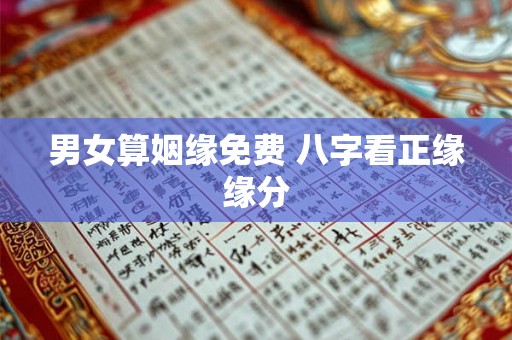 男女算姻缘免费 八字看正缘缘分