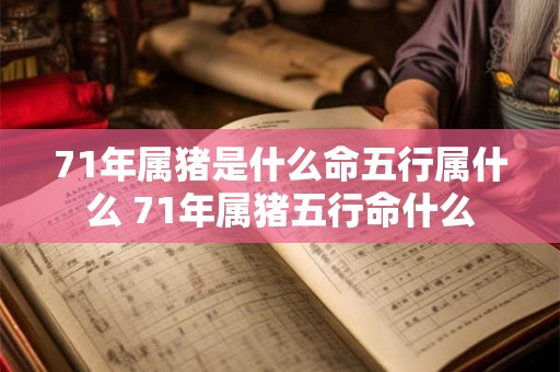 71年属猪是什么命五行属什么 71年属猪五行命什么