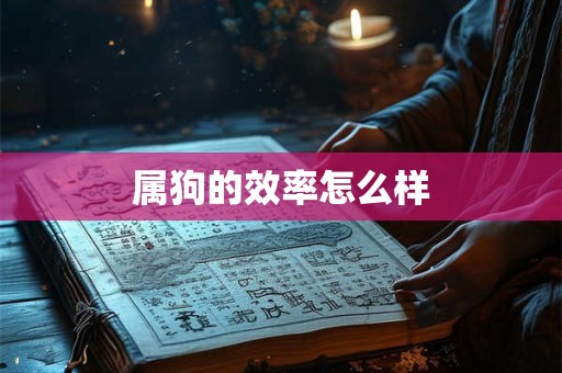 属狗的效率怎么样 属狗的效率怎么样