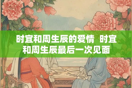时宜和周生辰的爱情  时宜和周生辰最后一次见面