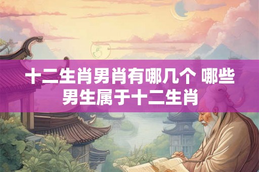 十二生肖男肖有哪几个 哪些男生属于十二生肖