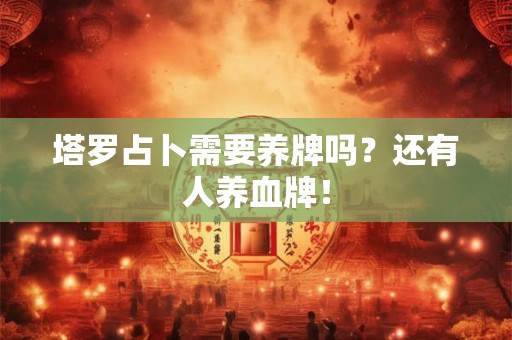 塔罗占卜需要养牌吗？还有人养血牌！
