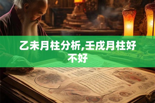 乙未月柱分析,壬戌月柱好不好