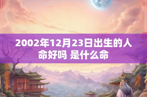 2002年12月23日出生的人命好吗 是什么命