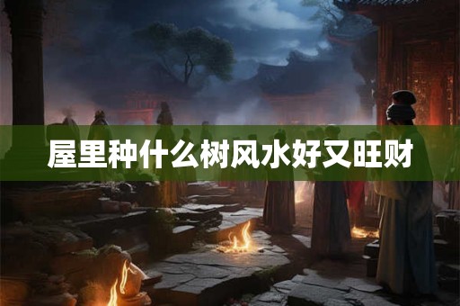 屋里种什么树风水好又旺财
