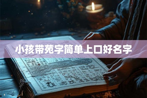 小孩带苑字简单上口好名字
