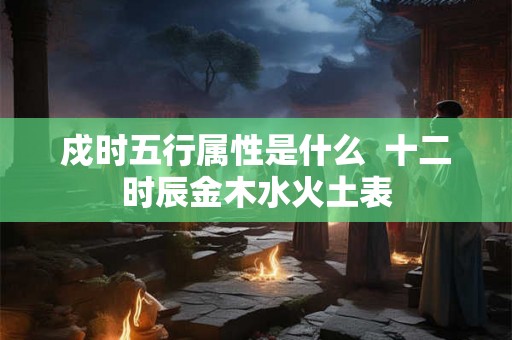 戍时五行属性是什么  十二时辰金木水火土表