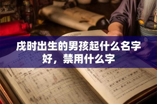 戌时出生的男孩起什么名字好，禁用什么字