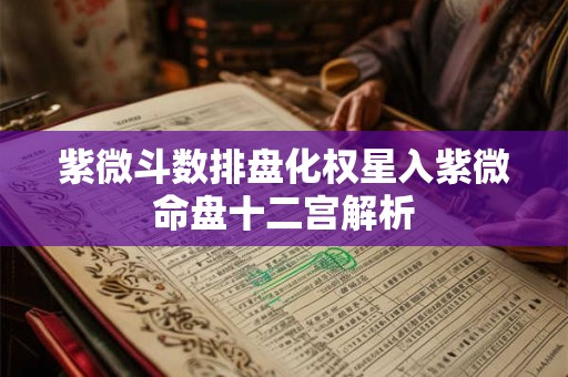 紫微斗数排盘化权星入紫微命盘十二宫解析