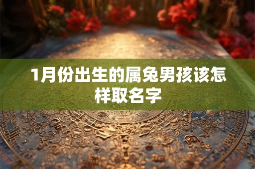 1月份出生的属兔男孩该怎样取名字