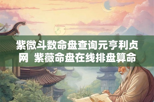 紫微斗数命盘查询元亨利贞网  紫薇命盘在线排盘算命元亨利贞