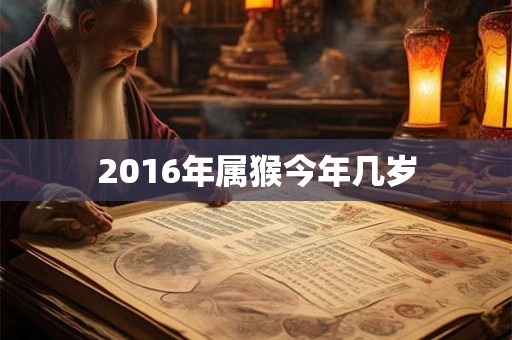 2016年属猴今年几岁 2016年属猴今年几岁