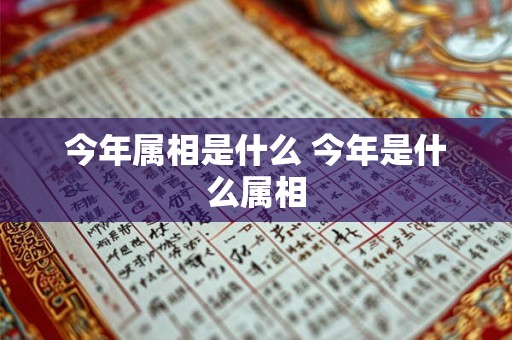今年属相是什么 今年是什么属相