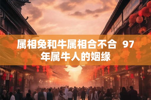 属相兔和牛属相合不合  97年属牛人的姻缘