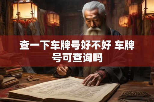 查一下车牌号好不好 车牌号可查询吗