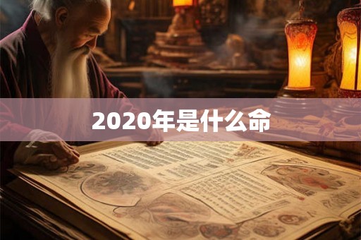 2020年是什么命