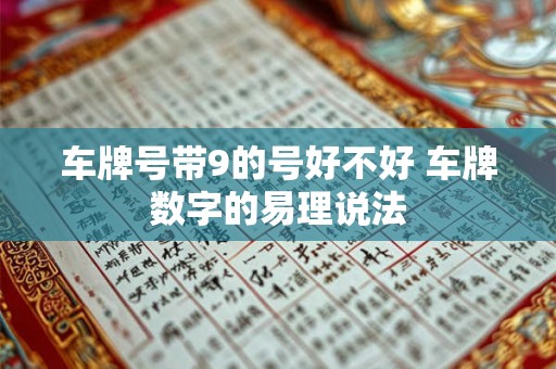 车牌号带9的号好不好 车牌数字的易理说法