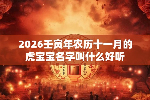 2026壬寅年农历十一月的虎宝宝名字叫什么好听
