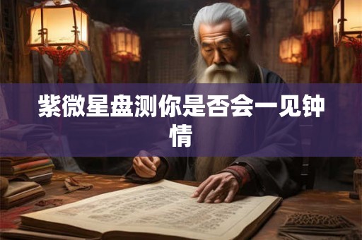 紫微星盘测你是否会一见钟情