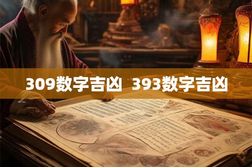 309数字吉凶  393数字吉凶