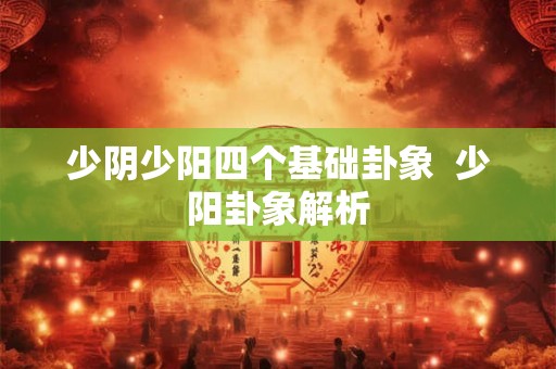 少阴少阳四个基础卦象  少阳卦象解析