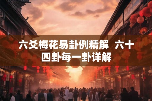 六爻梅花易卦例精解 六十四卦每一卦详解 六爻梅花易卦例精解 六十四卦每一卦详解