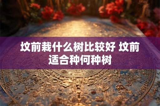 坟前栽什么树比较好 坟前适合种何种树 坟前栽什么树比较好 坟前适合种何种树