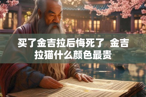 买了金吉拉后悔死了  金吉拉猫什么颜色最贵