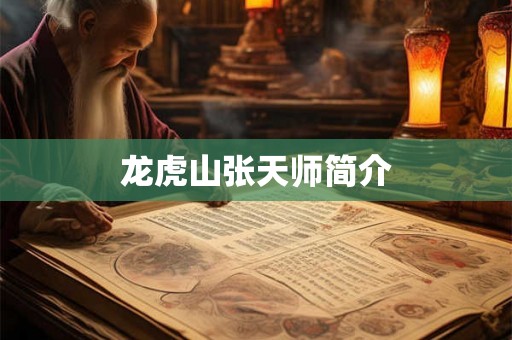 龙虎山张天师简介