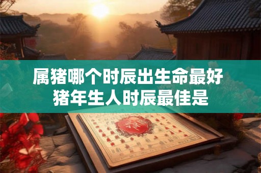 属猪哪个时辰出生命最好 猪年生人时辰最佳是