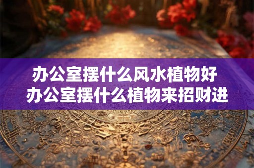 办公室摆什么风水植物好 办公室摆什么植物来招财进宝