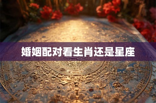 婚姻配对看生肖还是星座