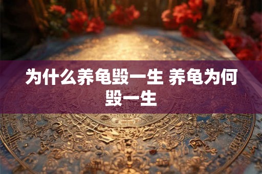 为什么养龟毁一生 养龟为何毁一生