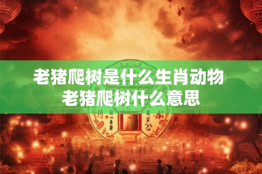 老猪爬树是什么生肖动物 老猪爬树什么意思