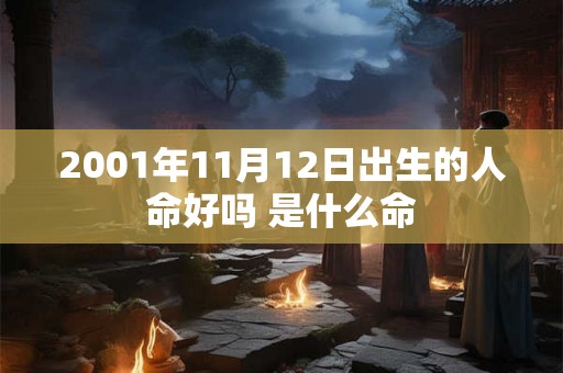2001年11月12日出生的人命好吗 是什么命