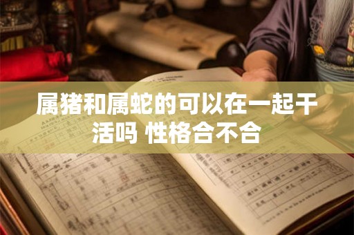 属猪和属蛇的可以在一起干活吗 性格合不合