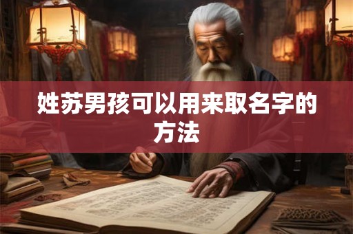 姓苏男孩可以用来取名字的方法 姓苏男孩可以用来取名字的方法