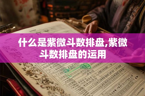 什么是紫微斗数排盘,紫微斗数排盘的运用