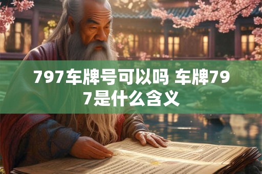 797车牌号可以吗 车牌797是什么含义