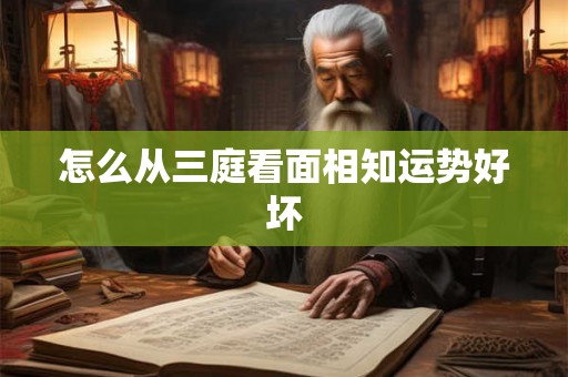 怎么从三庭看面相知运势好坏