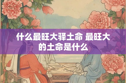 什么最旺大驿土命 最旺大的土命是什么