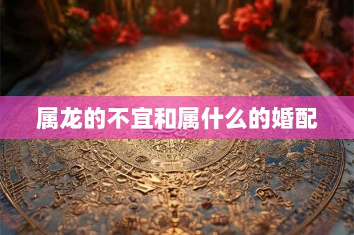 属龙的不宜和属什么的婚配