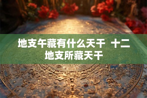 地支午藏有什么天干 十二地支所藏天干 地支午藏有什么天干 十二地支所藏天干